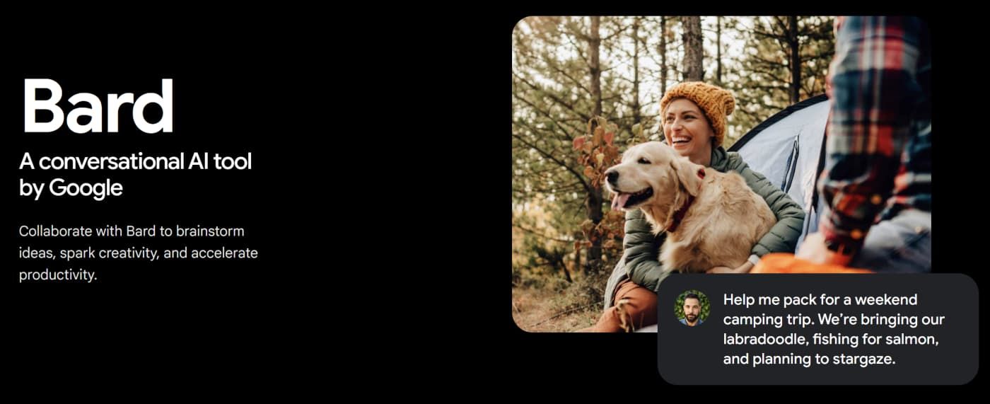 bard-ai-website.jpg